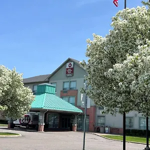 https://best-western-plus-travel-hotel-toronto-airport.hotelstorontoontario.org